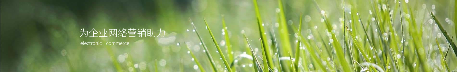 ŷˣɽƼ޹˾